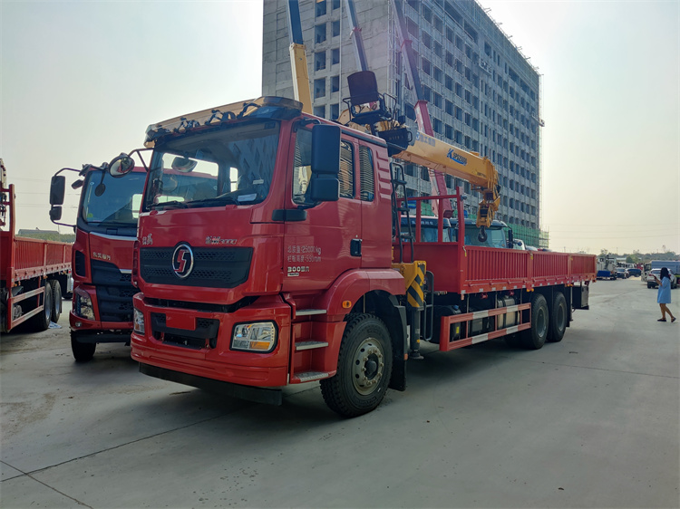 陜汽德龍后八輪12噸隨車吊
